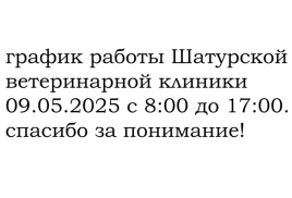 график работы Шатурской ветеринарной клиники на 09.05.2025